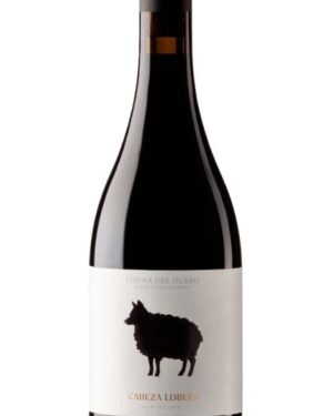 CABEZA LOBERA 9 MESES BARRICA
