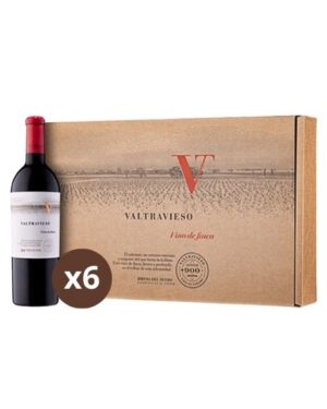 Estuche de 6 Vinos Finca Valtravieso